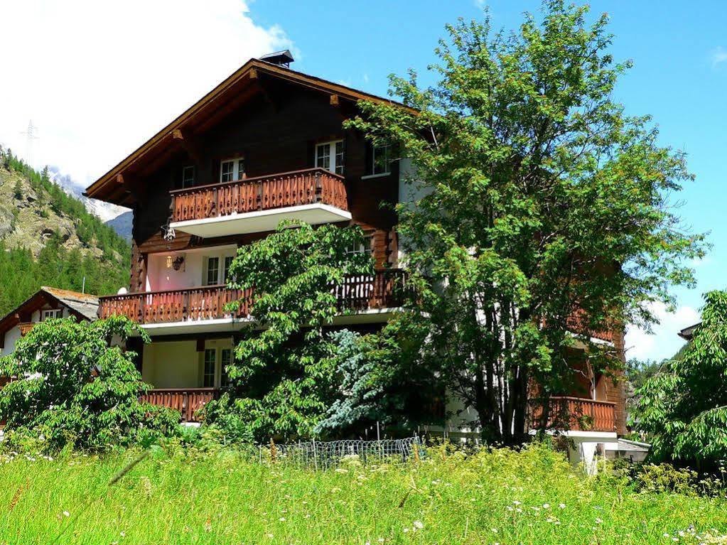 Apartamento Haus Alpenperle Saas-Almagell Exterior foto