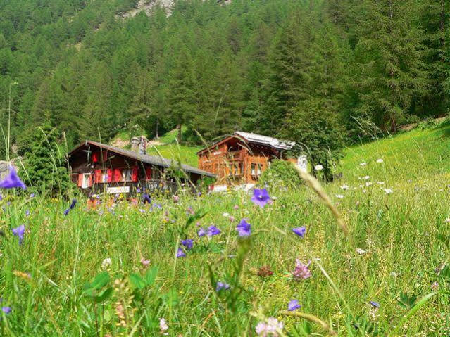 Apartamento Haus Alpenperle Saas-Almagell Exterior foto